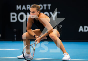2023-01-06 - Aryna Sabalenka of Belarus in action during the quarter-final of the 2023 Adelaide International 1, WTA 500 tennis tournament on January 6, 2023 in Adelaide, Australia - TENNIS - WTA - 2023 ADELAIDE INTERNATIONAL 1 - INTERNATIONALS - TENNIS