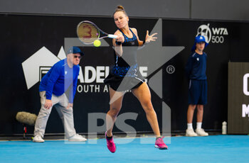 2023-01-06 - Veronika Kudermetova of Russia in action during the quarter-final of the 2023 Adelaide International 1, WTA 500 tennis tournament on January 6, 2023 in Adelaide, Australia - TENNIS - WTA - 2023 ADELAIDE INTERNATIONAL 1 - INTERNATIONALS - TENNIS
