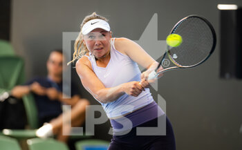 2023-01-07 - Amanda Anisimova of the United States in action during the first qualifications round at the 2023 Adelaide International 2, WTA 500 tennis tournament on January 7, 2023 in Adelaide, Australia - TENNIS - WTA - 2023 ADELAIDE INTERNATIONAL 2 - INTERNATIONALS - TENNIS