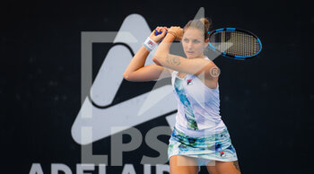 2023-01-08 - Karolina Pliskova of the Czech Republic in action during the final qualifications round of the 2023 Adelaide International 2, WTA 500 tennis tournament on January 8, 2023 in Adelaide, Australia - TENNIS - WTA - 2023 ADELAIDE INTERNATIONAL 2 - INTERNATIONALS - TENNIS