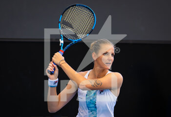 2023-01-08 - Karolina Pliskova of the Czech Republic in action during the final qualifications round of the 2023 Adelaide International 2, WTA 500 tennis tournament on January 8, 2023 in Adelaide, Australia - TENNIS - WTA - 2023 ADELAIDE INTERNATIONAL 2 - INTERNATIONALS - TENNIS