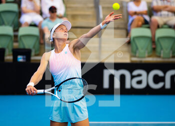 2023-01-10 - Liudmila Samsonova of Russia in action during the first round of the 2023 Adelaide International 2, WTA 500 tennis tournament on January 10, 2023 in Adelaide, Australia - TENNIS - WTA - 2023 ADELAIDE INTERNATIONAL 2 - INTERNATIONALS - TENNIS