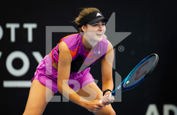 2023-01-11 - Anna Kalinskaya of Russia during the second round of the 2023 Adelaide International 2, WTA 500 tennis tournament on January 11, 2023 in Adelaide, Australia - TENNIS - WTA - 2023 ADELAIDE INTERNATIONAL 2 - INTERNATIONALS - TENNIS