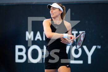 2023-01-11 - Paula Badosa of Spain in action during the second round of the 2023 Adelaide International 2, WTA 500 tennis tournament on January 11, 2023 in Adelaide, Australia - TENNIS - WTA - 2023 ADELAIDE INTERNATIONAL 2 - INTERNATIONALS - TENNIS