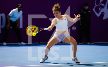 2023-02-11 - Jasmine Paolini of Italy during the first round of qualifications of the 2023 Qatar Totalenergies Open, WTA 500 tennis tournament on February 11, 2023 in Doha, Qatar - TENNIS - WTA - QATAR TOTALENERGIES OPEN 2023 - INTERNATIONALS - TENNIS