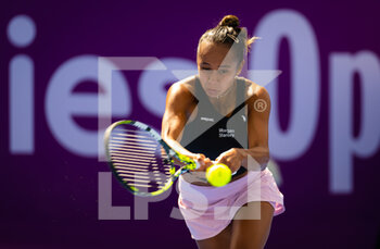 TENNIS - WTA - QATAR TOTALENERGIES OPEN 2023 - INTERNAZIONALI - TENNIS