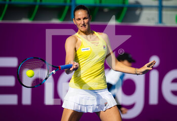 2023-02-11 - Karolina Pliskova of the Czech Republic during the first round of qualifications of the 2023 Qatar Totalenergies Open, WTA 500 tennis tournament on February 11, 2023 in Doha, Qatar - TENNIS - WTA - QATAR TOTALENERGIES OPEN 2023 - INTERNATIONALS - TENNIS