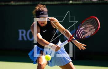 09/03/2023 - Tatjana Maria of Germany in action during the first round of the 2023 BNP Paribas Open, WTA 1000 tennis tournament on March 9, 2023 in Indian Wells, USA - TENNIS - WTA - BNP PARIBAS OPEN 2023 - INTERNAZIONALI - TENNIS