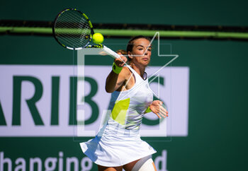 09/03/2023 - Lucia Bronzetti of Italy in action during the first round of the 2023 BNP Paribas Open, WTA 1000 tennis tournament on March 9, 2023 in Indian Wells, USA - TENNIS - WTA - BNP PARIBAS OPEN 2023 - INTERNAZIONALI - TENNIS