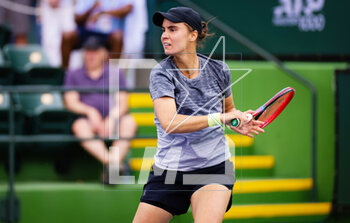 10/03/2023 - Anhelina Kalinina of Ukraine in action during the second round of the 2023 BNP Paribas Open, WTA 1000 tennis tournament on March 10, 2023 in Indian Wells, USA - TENNIS - WTA - BNP PARIBAS OPEN 2023 - INTERNAZIONALI - TENNIS