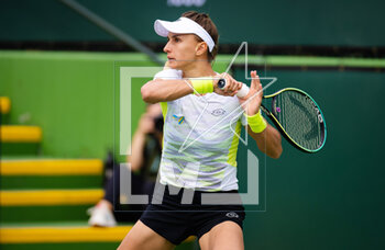 10/03/2023 - Lesia Tsurenko of Ukraine in action during the second round of the 2023 BNP Paribas Open, WTA 1000 tennis tournament on March 10, 2023 in Indian Wells, USA - TENNIS - WTA - BNP PARIBAS OPEN 2023 - INTERNAZIONALI - TENNIS