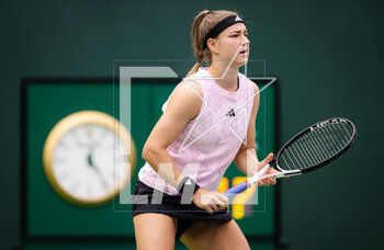 11/03/2023 - Karolina Muchova of the Czech Republic in action during the second round of the 2023 BNP Paribas Open, WTA 1000 tennis tournament on March 11, 2023 in Indian Wells, USA - TENNIS - WTA - BNP PARIBAS OPEN 2023 - INTERNAZIONALI - TENNIS