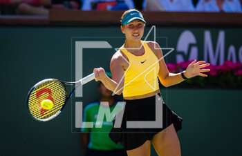 12/03/2023 - Anastasia Potapova of Russia in action during the third round of the 2023 BNP Paribas Open, WTA 1000 tennis tournament on March 12, 2023 in Indian Wells, USA - TENNIS - WTA - BNP PARIBAS OPEN 2023 - INTERNAZIONALI - TENNIS