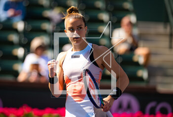 12/03/2023 - Maria Sakkari of Greece in action during the third round of the 2023 BNP Paribas Open, WTA 1000 tennis tournament on March 12, 2023 in Indian Wells, USA - TENNIS - WTA - BNP PARIBAS OPEN 2023 - INTERNAZIONALI - TENNIS