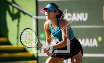 13/03/2023 - Emma Raducanu of Great Britain in action during the third round of the 2023 BNP Paribas Open, WTA 1000 tennis tournament on March 13, 2023 in Indian Wells, USA - TENNIS - WTA - BNP PARIBAS OPEN 2023 - INTERNAZIONALI - TENNIS