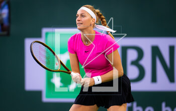 2023-03-15 - Petra Kvitova of the Czech Republic in action during the quarter-final of the 2023 BNP Paribas Open, WTA 1000 tennis tournament on March 15, 2023 in Indian Wells, USA - TENNIS - WTA - BNP PARIBAS OPEN 2023 - INTERNATIONALS - TENNIS