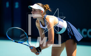 2023-03-23 - Viktoriya Tomova of Bulgaria during the second round of the 2023 Miami Open, WTA 1000 tennis tournament on March 23, 2023 in Miami, USA - TENNIS - WTA - 2023 MIAMI OPEN - INTERNATIONALS - TENNIS