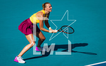 2023-03-26 - Petra Kvitova of the Czech Republic in action during the third round of the 2023 Miami Open, WTA 1000 tennis tournament on March 26, 2023 in Miami, USA - TENNIS - WTA - 2023 MIAMI OPEN - INTERNATIONALS - TENNIS