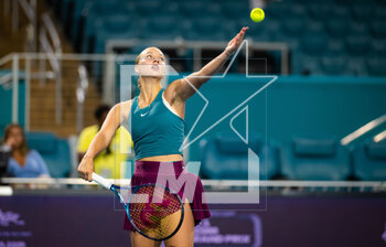 2023-03-29 - Anastasia Potapova of Russia in action during the quarter-final of the 2023 Miami Open, WTA 1000 tennis tournament on March 28, 2023 in Miami, USA - TENNIS - WTA - 2023 MIAMI OPEN - INTERNATIONALS - TENNIS