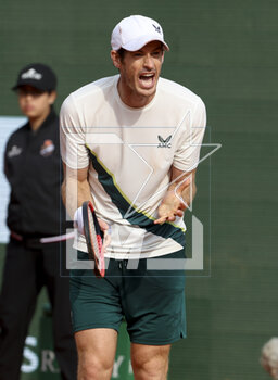 2023-04-10 - Andy Murray of Great Britain during day 2 of the Rolex Monte-Carlo Masters 2023, an ATP Masters 1000 tennis event on April 10, 2023 at Monte-Carlo Country Club in Roquebrune Cap Martin, France - TENNIS - ROLEX MONTE CARLO MASTERS 2023 - INTERNATIONALS - TENNIS