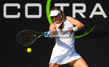 TENNIS - WTA - BETT1 OPEN 2023 - INTERNATIONALS - TENNIS