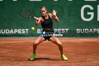 2023-07-17 - Anna Karolina Schmiediova (SVK) during the first day main draw match of WTA250 Hungarian Gran Prix Tennis on July 17th, 2023 at Romai Teniszakademia , Budapest, Hungary - WTA 250 - HUNGARIAN GRAND PRIX - INTERNATIONALS - TENNIS