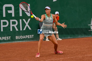 2023-07-17 - Tatjana Maria (GER) during the first day main draw match of WTA250 Hungarian Gran Prix Tennis on July 17th, 2023 at Romai Teniszakademia , Budapest, Hungary - WTA 250 - HUNGARIAN GRAND PRIX - INTERNATIONALS - TENNIS
