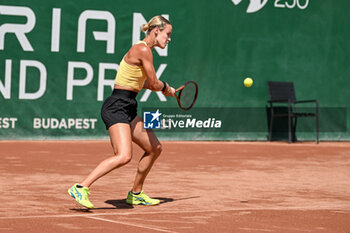2023-07-19 - Anna Karolina Schmiediova (SVK) during the third day main draw match of WTA250 Hungarian Gran Prix Tennis on July 19th, 2023 at Romai Teniszakademia , Budapest, Hungary - WTA 250 - HUNGARIAN GRAND PRIX - INTERNATIONALS - TENNIS