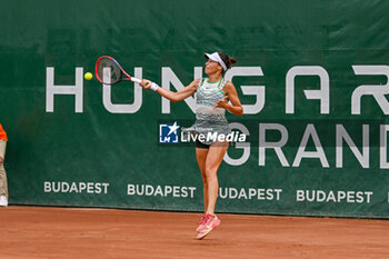 2023-07-19 - Tatjana Maria (GER) during the third day main draw match of WTA250 Hungarian Gran Prix Tennis on July 19th, 2023 at Romai Teniszakademia , Budapest, Hungary - WTA 250 - HUNGARIAN GRAND PRIX - INTERNATIONALS - TENNIS
