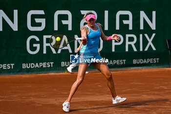 2023-07-20 - Kateryna Baindi (UKR) during the fourth day main draw match of WTA250 Hungarian Gran Prix Tennis on July 20th, 2023 at Romai Teniszakademia , Budapest, Hungary - WTA 250 - HUNGARIAN GRAND PRIX - INTERNATIONALS - TENNIS