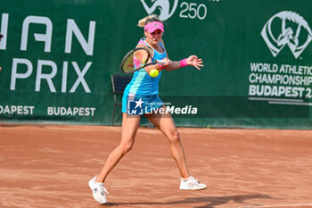 2023-07-20 - Kateryna Baindi (UKR) during the fourth day main draw match of WTA250 Hungarian Gran Prix Tennis on July 20th, 2023 at Romai Teniszakademia , Budapest, Hungary - WTA 250 - HUNGARIAN GRAND PRIX - INTERNATIONALS - TENNIS