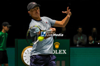 2023-09-12 - Leo Borg (SWE) hits the ball with his forehand during Davis Cup 2023 Group A match between Cristian Garin (CHI) in Bologna 12/09/23 at the Unipol Arena - DAVIS CUP - SWEDEN VS CHILE - INTERNATIONALS - TENNIS