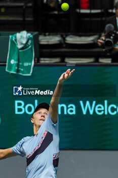 2023-09-12 - Leo Borg (SWE) serving during Davis Cup 2023 Group A match between Cristian Garin (CHI in Bologna 12/09/23 at the Unipol Arena. - DAVIS CUP - SWEDEN VS CHILE - INTERNATIONALS - TENNIS