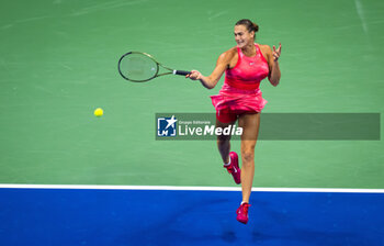 2023-09-09 - Aryna Sabalenka of Belarus during the singles final of the 2023 US Open Grand Slam tennis tournament - TENNIS - US OPEN 2023 - INTERNATIONALS - TENNIS