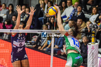 2023-11-04 - Anett Nemeth for Pinerolo during Volley Serie A1 F match between Reale Mutua Fener Chieri '76 and Wash4green Pinerolo at Palafenera, Chieri (TO) - REALE MUTUA FENERA CHIERI 76 VS WASH4GREEN PINEROLO - SERIE A1 WOMEN - VOLLEYBALL