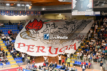 2023-11-05 - Sir Susa Vim Perugia's supporter - CUCINE LUBE CIVITANOVA VS SIR SAFETY SUSA VIM PERUGIA - SUPERLEAGUE SERIE A - VOLLEYBALL