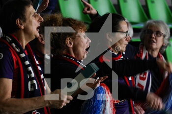 25/01/2023 - Supporters of SVG at PalaPanini (SVG Luneburg) - VALSA GROUP MODENA VS SVG LUNEBURG - CEV CUP - VOLLEY