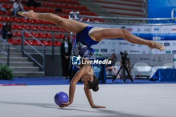 2024-03-17 - Viola Sella of Forza e Coraggio Milano during Rhythmic Gymnastics FGI Serie A 2024 at PalaPrometeo, Ancona, Italy on March 16, 2024 - RHYTHMIC GYMNASTIC - SERIE A1/A2 - GYMNASTICS - OTHER SPORTS