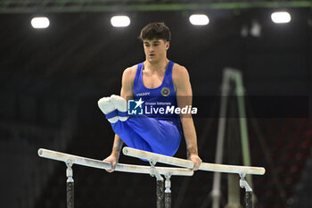 European Artistic Gymnastic Championships - Men - GINNASTICA - ALTRO