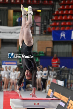 2024-07-05 - Angela Andreoli (Brixia) - during the competition with Women's Vault - CAMPIONATI NAZIONALI ASSOLUTI GINNASTICA ARTISTICA - GYMNASTICS - OTHER SPORTS