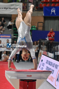 2024-07-05 - Alice D'Amato (Fiamme Oro) - during the competition with Women's Vault - CAMPIONATI NAZIONALI ASSOLUTI GINNASTICA ARTISTICA - GYMNASTICS - OTHER SPORTS