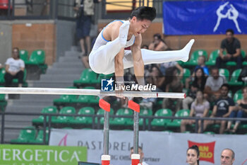 2024-07-06 - Lorenzo Casali (Fiamme Oro)
 - during Men's Parallel Bars - CAMPIONATI NAZIONALI ASSOLUTI GINNASTICA ARTISTICA - GYMNASTICS - OTHER SPORTS