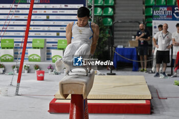 2024-07-06 - Lorenzo Casali (Fiamme Oro)
 during Men's Pommel Horse - CAMPIONATI NAZIONALI ASSOLUTI GINNASTICA ARTISTICA - GYMNASTICS - OTHER SPORTS