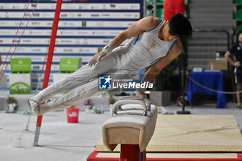 2024-07-06 - Lorenzo Casali (Fiamme Oro)
 during Men's Pommel Horse - CAMPIONATI NAZIONALI ASSOLUTI GINNASTICA ARTISTICA - GYMNASTICS - OTHER SPORTS