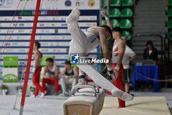 2024-07-06 - Mario Macchiati (Fiamme Oro) - during Men's Pommel Horse - CAMPIONATI NAZIONALI ASSOLUTI GINNASTICA ARTISTICA - GYMNASTICS - OTHER SPORTS