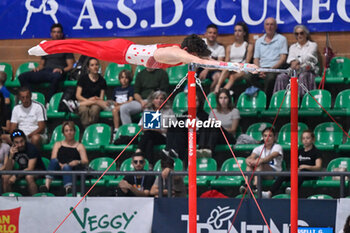 2024-07-06 - Gabriele Tisselli (Romagna Team) during Men's Horizontal Bar - CAMPIONATI NAZIONALI ASSOLUTI GINNASTICA ARTISTICA - GYMNASTICS - OTHER SPORTS