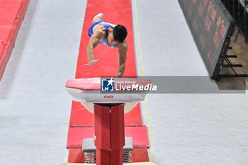 2024-07-06 - Steven Matteo (Ginnastica Ferrara) during Men's Vault - CAMPIONATI NAZIONALI ASSOLUTI GINNASTICA ARTISTICA - GYMNASTICS - OTHER SPORTS