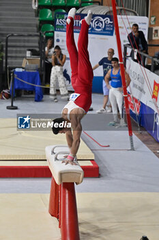 2024-07-06 - Carlo Macchini (Fiamme Oro) during Men's Pommel Horse - CAMPIONATI NAZIONALI ASSOLUTI GINNASTICA ARTISTICA - GYMNASTICS - OTHER SPORTS