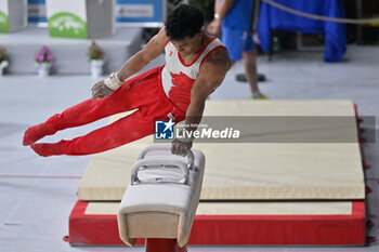 2024-07-06 - Lay Giannini (Giovanile Ancona) during Men's Pommel Horse - CAMPIONATI NAZIONALI ASSOLUTI GINNASTICA ARTISTICA - GYMNASTICS - OTHER SPORTS