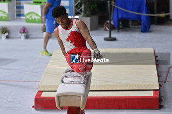 2024-07-06 - Lay Giannini (Giovanile Ancona) during Men's Pommel Horse - CAMPIONATI NAZIONALI ASSOLUTI GINNASTICA ARTISTICA - GYMNASTICS - OTHER SPORTS